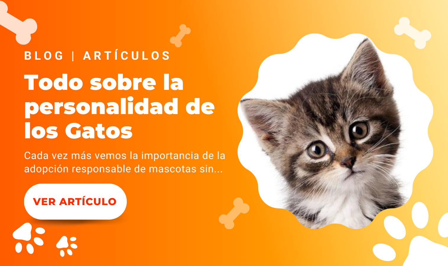 Todo sobre la personalidad de los Gatos